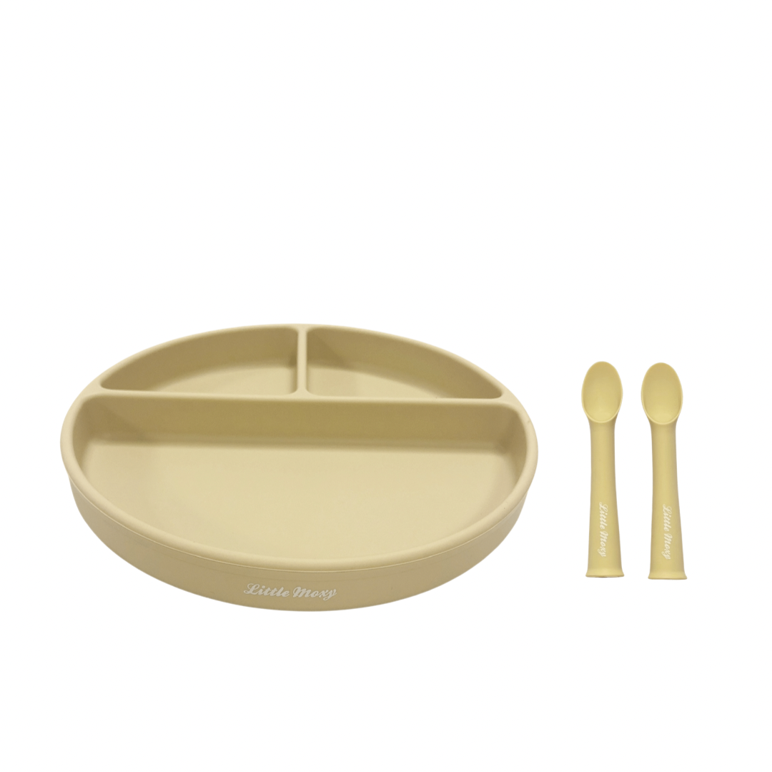 DIVIDED SUCTION PLATE