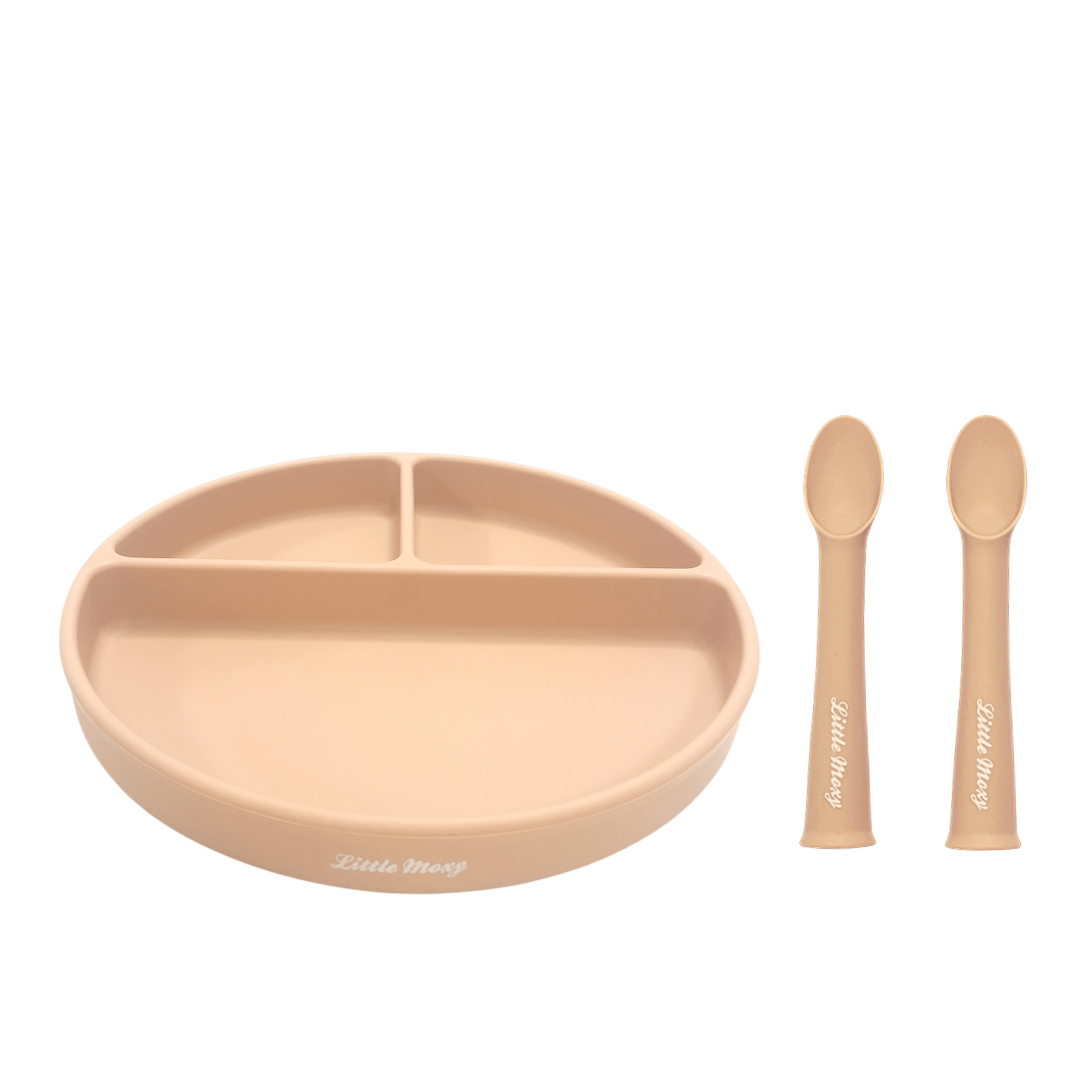 DIVIDED SUCTION PLATE