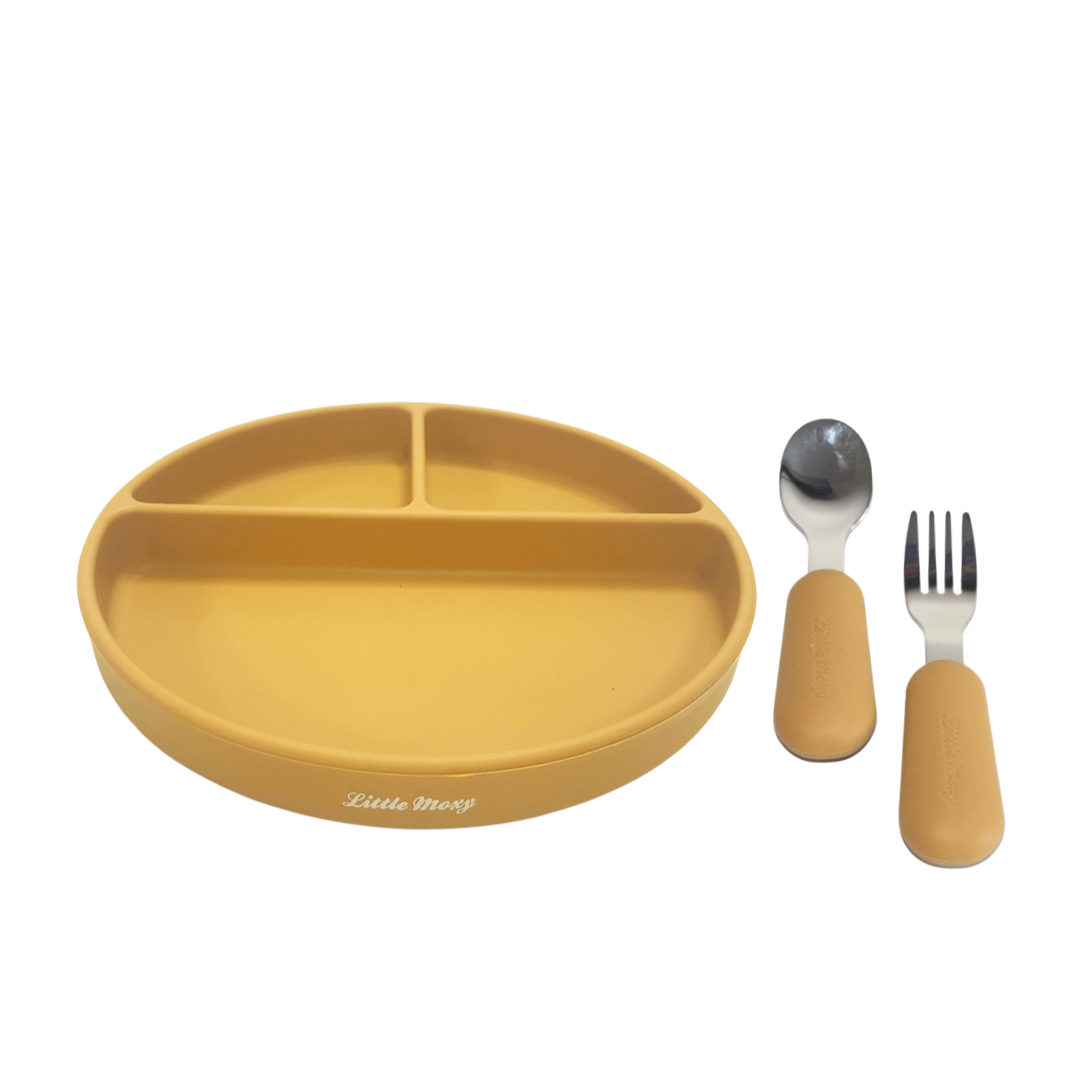 DIVIDED SUCTION PLATE