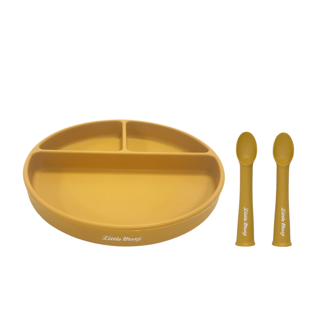 DIVIDED SUCTION PLATE