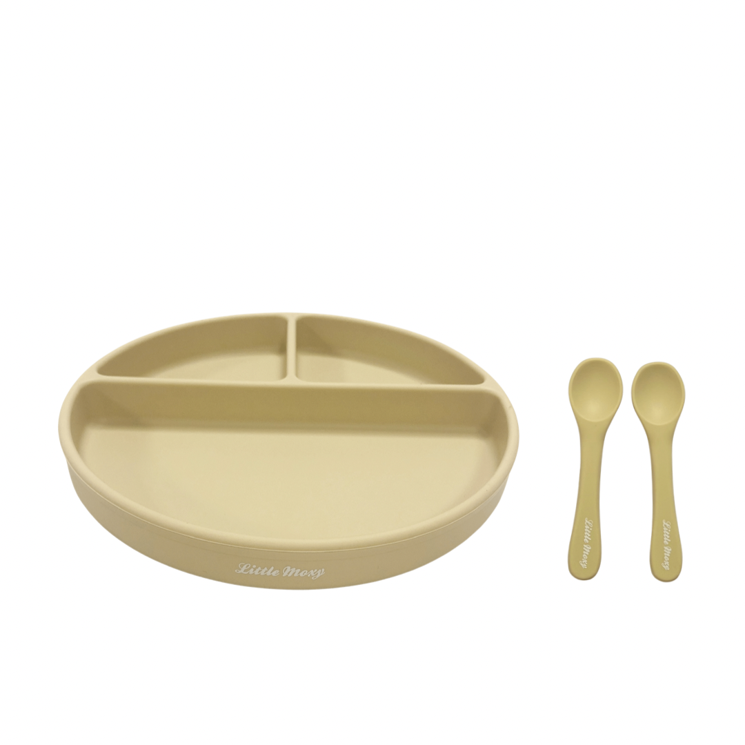 DIVIDED SUCTION PLATE