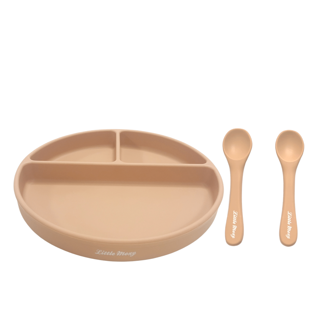 DIVIDED SUCTION PLATE