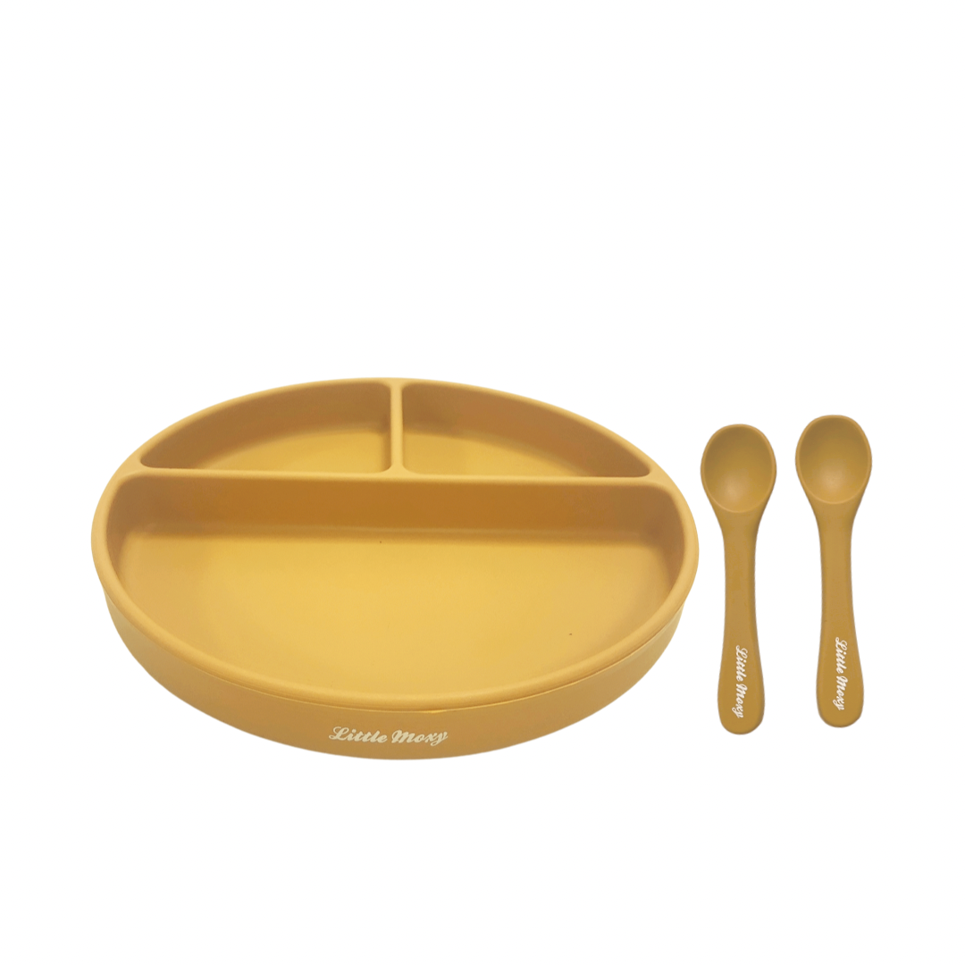 DIVIDED SUCTION PLATE
