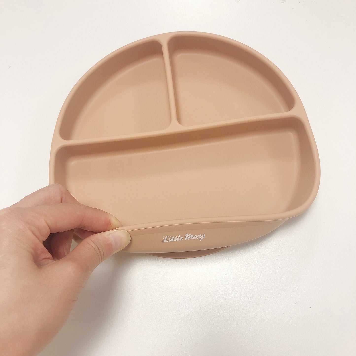 DIVIDED SUCTION PLATE