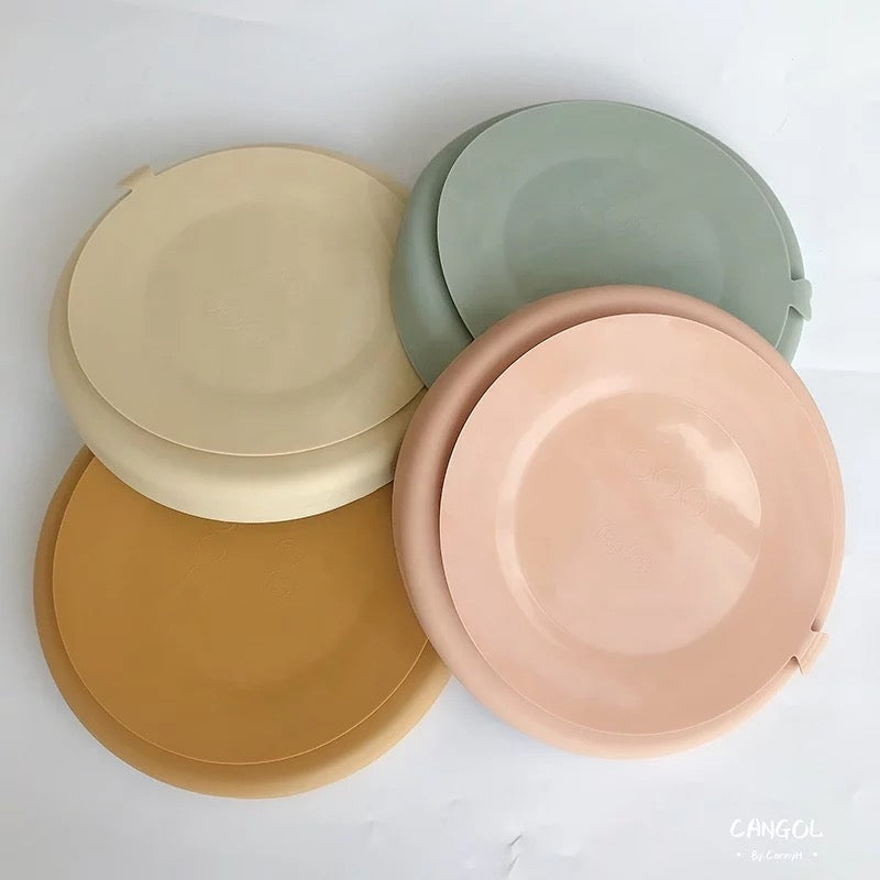 DIVIDED SUCTION PLATE